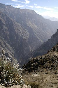 colca canyon 